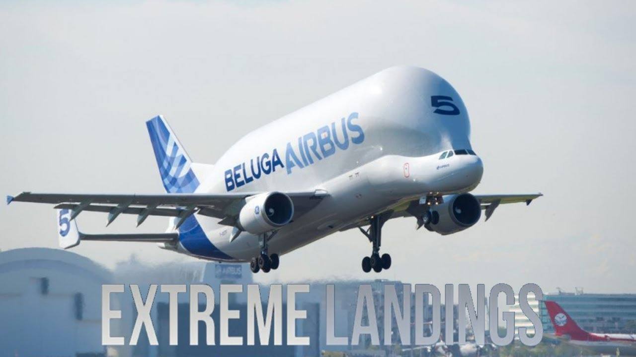 You are currently viewing How To Get Informed With The Extreme Landings Pro Apps